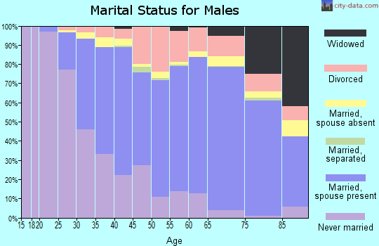 Zip code 49855 marital status for males