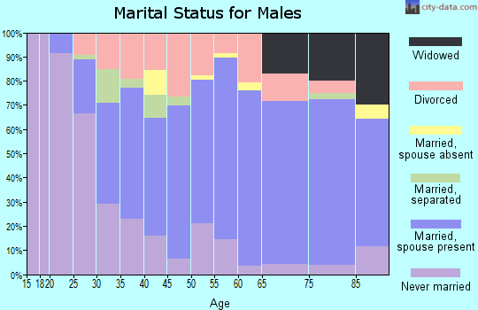 Zip code 49858 marital status for males