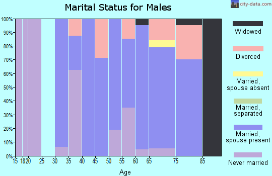 Zip code 49861 marital status for males