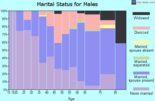 Zip code 49862 marital status for males