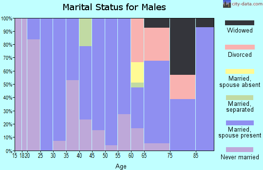Zip code 49870 marital status for males