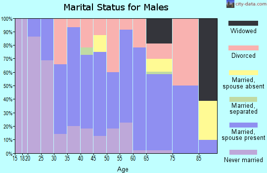 Zip code 49874 marital status for males