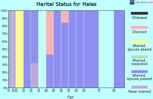 Zip code 49876 marital status for males