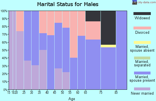 Zip code 49879 marital status for males
