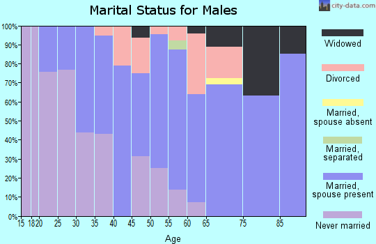 Zip code 49885 marital status for males