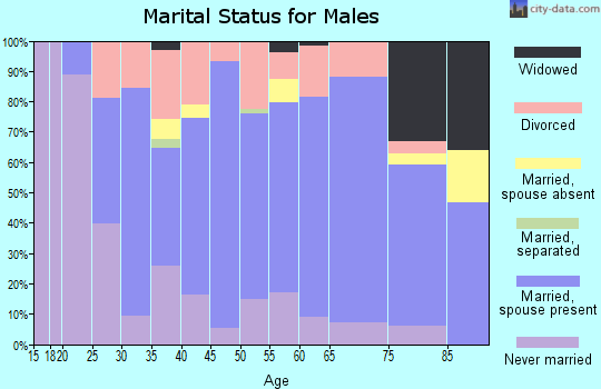 Zip code 49887 marital status for males