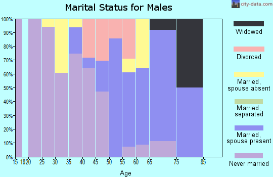 Zip code 49895 marital status for males
