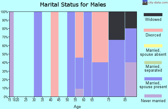 Zip code 49902 marital status for males