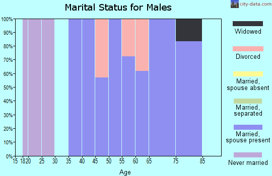 Zip code 49910 marital status for males