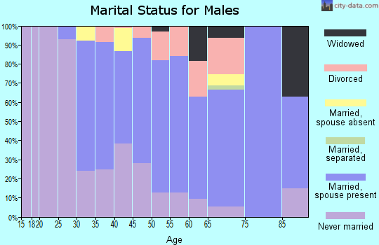 Zip code 49911 marital status for males