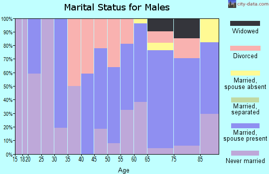 Zip code 49912 marital status for males