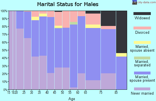 Zip code 49913 marital status for males