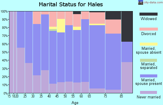 Zip code 49916 marital status for males