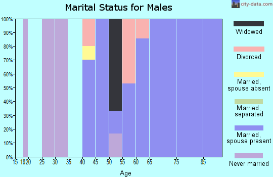 Zip code 49919 marital status for males