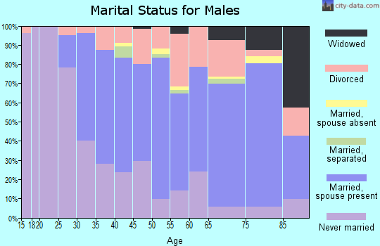 Zip code 49920 marital status for males