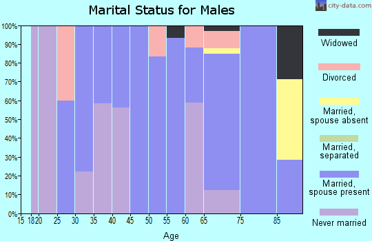 Zip code 49927 marital status for males