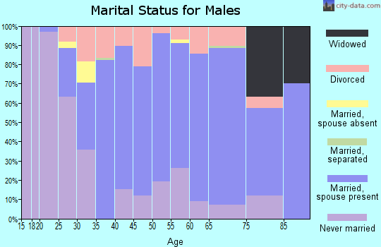 Zip code 49931 marital status for males