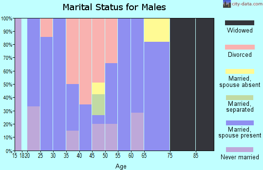 Zip code 49934 marital status for males