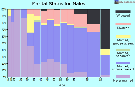 Zip code 49935 marital status for males