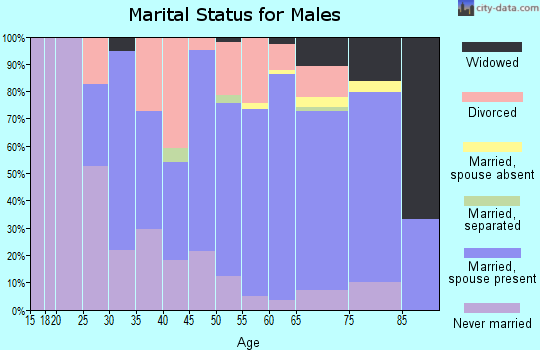 Zip code 49945 marital status for males
