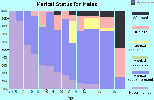 Zip code 49946 marital status for males