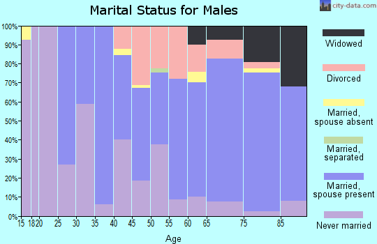 Zip code 49953 marital status for males