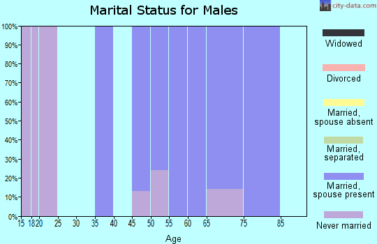 Zip code 49955 marital status for males