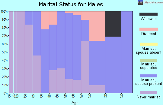 Zip code 49958 marital status for males