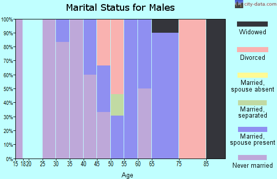 Zip code 49960 marital status for males