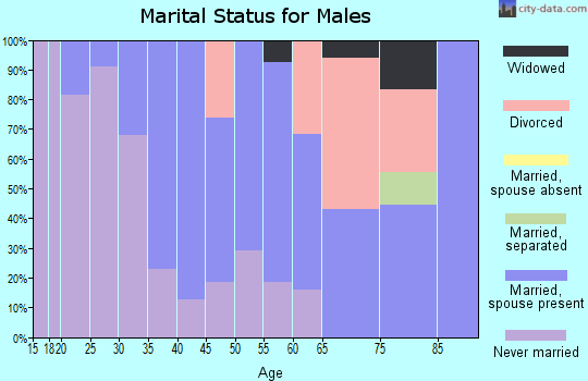 Zip code 49963 marital status for males