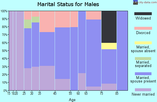 Zip code 49964 marital status for males