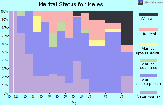 Zip code 49968 marital status for males