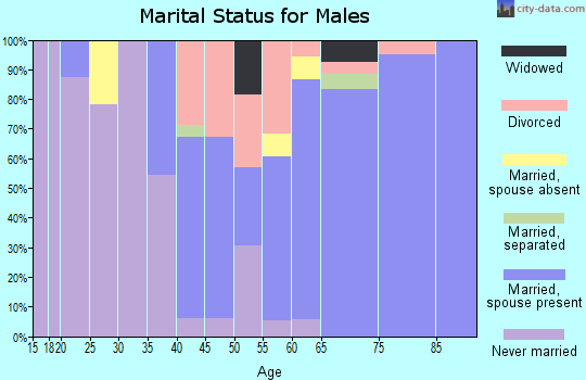 Zip code 49969 marital status for males