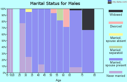 Zip code 50001 marital status for males