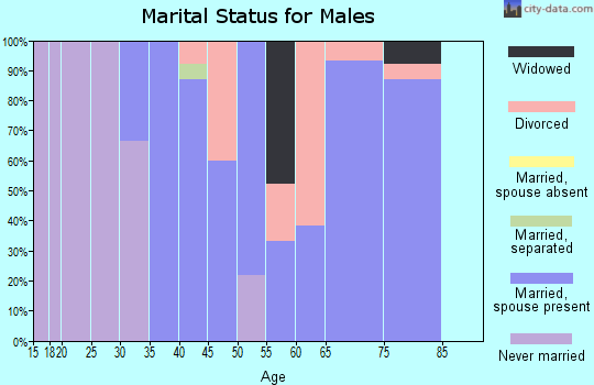 Zip code 50005 marital status for males