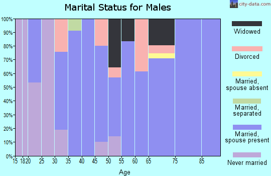 Zip code 50008 marital status for males