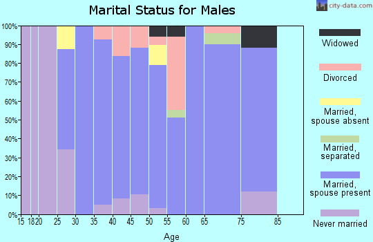Zip code 50020 marital status for males