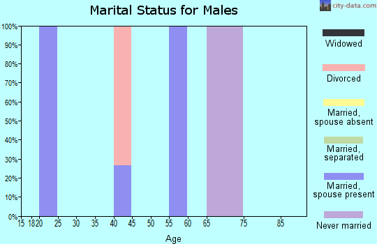Zip code 50032 marital status for males