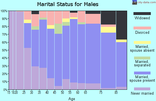 Zip code 50036 marital status for males