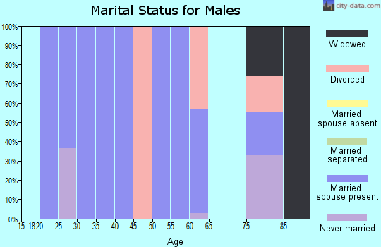 Zip code 50042 marital status for males