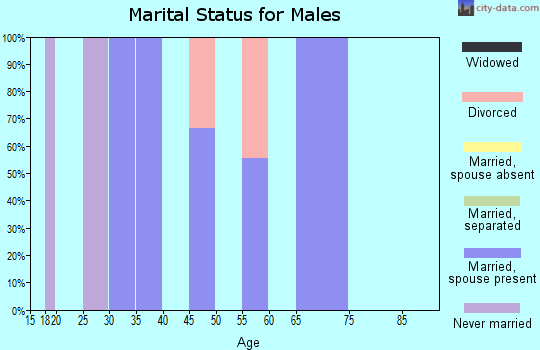 Zip code 50101 marital status for males