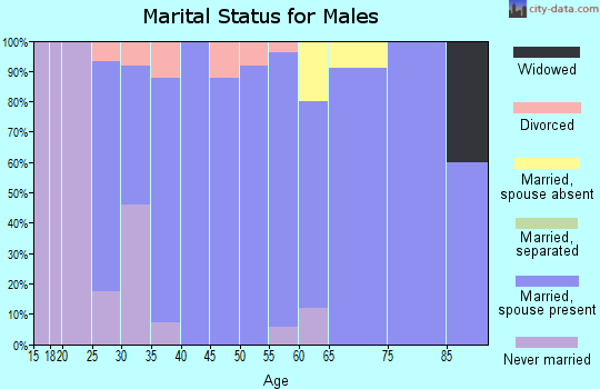 Zip code 50105 marital status for males