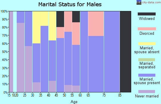 Zip code 50106 marital status for males