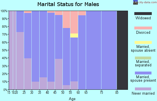 Zip code 50111 marital status for males