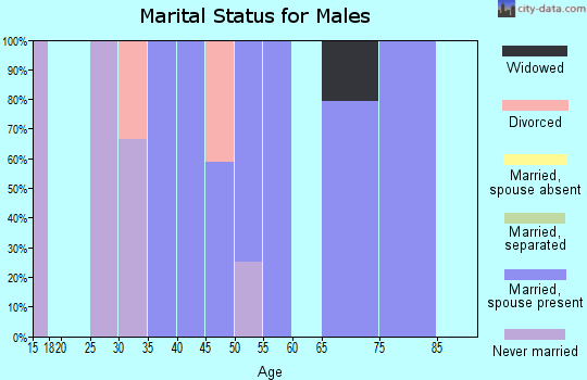 Zip code 50116 marital status for males