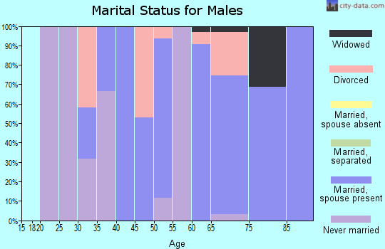 Zip code 50119 marital status for males