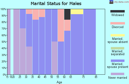 Zip code 50133 marital status for males