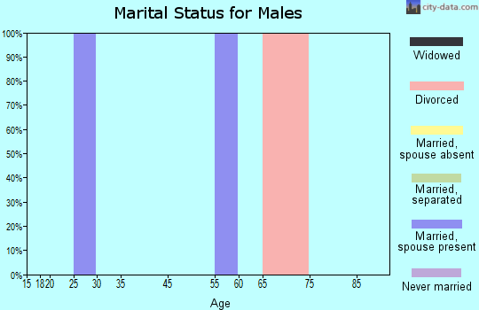 Zip code 50137 marital status for males
