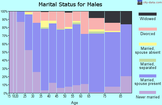 Zip code 50138 marital status for males