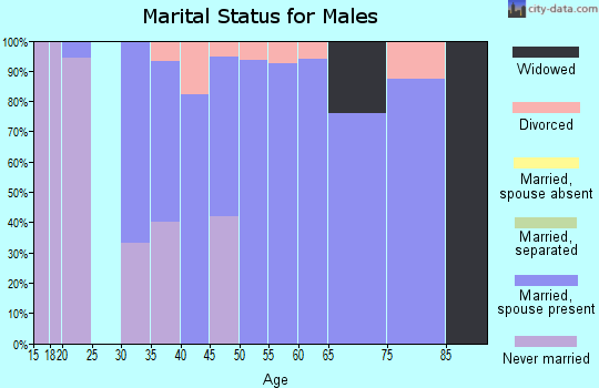 Zip code 50141 marital status for males